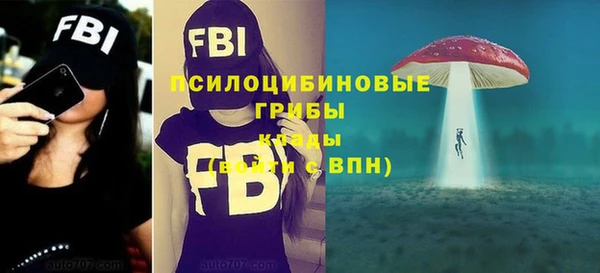 apvp Белокуриха
