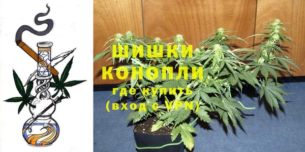 apvp Белокуриха
